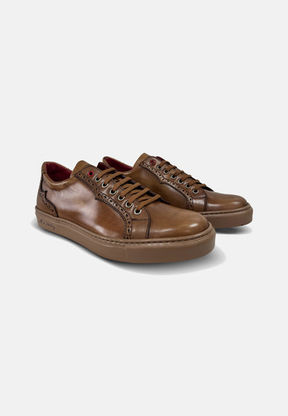 WASTREL K435 APOLO TOLEDO